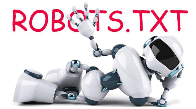 Что такое robots.txt и зачем он нужен в Тамбове
